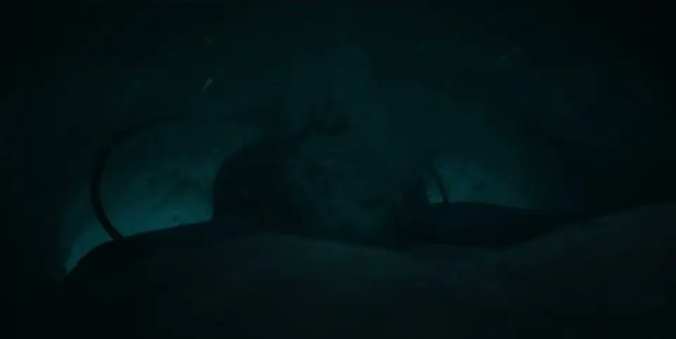 Imagen 3 de La Caida de la Ballena