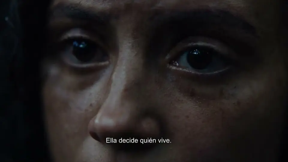 Imagen 2 de Terror en el Amazonas (boiuna)